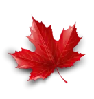 Maple Leaf